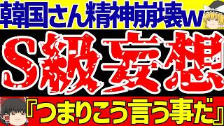 【海外の反応】韓国さんS級スターあまりの惨状で精神崩壊で現実逃避してしまうw【ゆっくりサッカー解説】