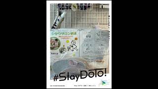 #stayDOTO 地元 #網走 で #マイクロツーリズム を実践しながら緊急事態宣言を乗り切ろうと思います。