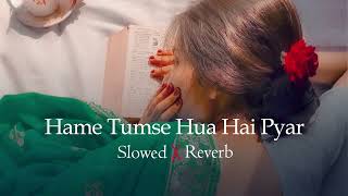 Hamein Tumse Hua Hai Pyar | Slowed & Reverb | Lofi Song's | Shir Sunny