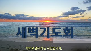 새벽기도회 | 서울부림교회 | 박찬영 강도사 | 2025-2-7