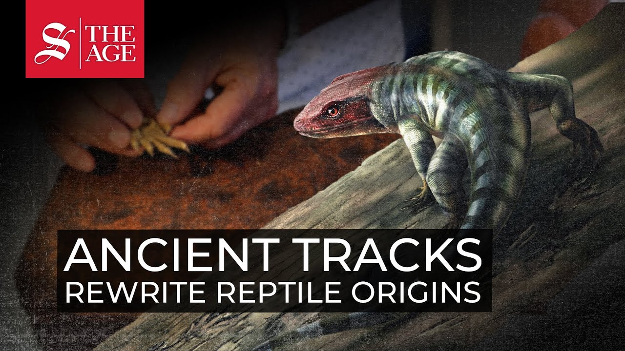 Ancient Tracks Rewrite Reptile Origins Youtube