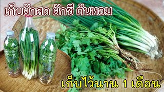 ‼️วิธีเก็บผักสด​ ผักชี​ ต้นหอม​ ไว้ใช้ได้นาน​ 1​ เดือนก็ยังสด​ ‼️แค่ให้สารจากทองแดง |แค่เลchannel