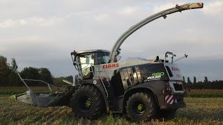 Day and night: Claas Jaguar 980 