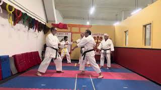 @karate_clases técnicas defensivas en karate#karate #cinta negra#kata #clases.