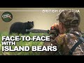 Stalking Bears on Vancouver Island (EPIC Black Bear Hunt) | Canada in the Rough