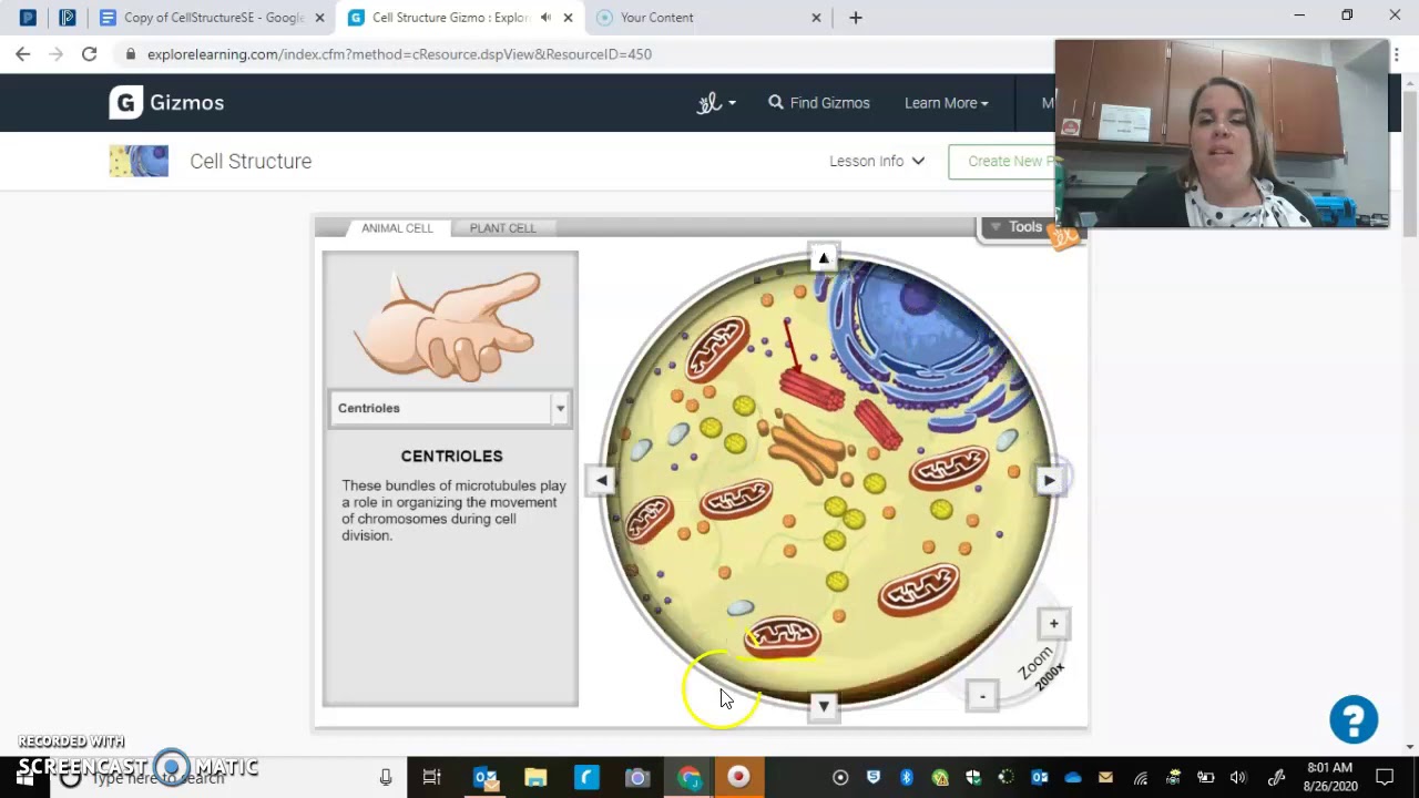 Cell Structure Gizmo Unlock Answers Ace Your Exploration