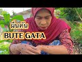 ผื่นคัน BUTE GATA