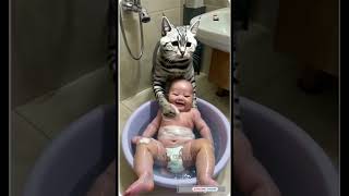 Cat bathing baby 19 ❤️ #funnyshorts #agt #relax #animals