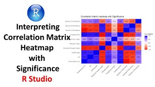 Interpreting Correlation Matrix Heatmap with Significance in R | Comprehensive Guide