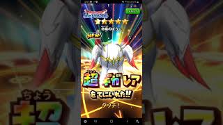 星ドラ！#40命竜ガチャ40連！新装備追加！出るか？