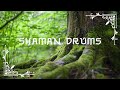 AFRICAN DRUM MUSIC - Tribal Beats  Shaman Dance Unleash your Primal Self