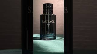 Klasika Dior Sauvage ve verzi parfum, která nezklame. @ELNINOCZNovaPaka