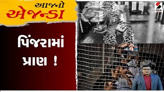 આજનો એજન્ડા : પિંજરામાં પ્રાણ ! | Amreli | Cage | Gujarat