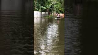 Flood 2018. At kadapra Mannar