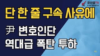 단 한 줄 구속 사유에/尹변호인단 역대급 폭탄 투하