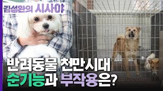 [김성완의 시사야] 이슈IT수다 | SNS 달군 화제의 키워드! \