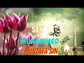 Sen Muhammed Mustafa'sın İlahisi | Bir kere göster yüzünü| İlahi Dinle | Didiyom Tv