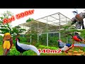 Chiêm Ngưỡng Aviary Khổng Lồ nuôi chim cảnh diện tích 140m2 và chi phí Nửa Tỉ Đồng || Đạt Bird TV