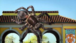 Xtreme BUGS at Brookfield Zoo