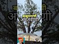 balumama amrutvani part 7 सेवकरांच्या संसाराची काळजी घेणारा देव बाळूमामा आदमापूर पालखी तळ