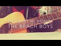 Please Let Me Wonder (Acoustic Cover) / The Beach Boys