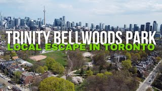 🌸 Trinity Bellwoods Park Toronto 🌳 A Local Escape in the Heart of the City!