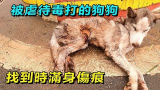 狗狗慘遭人類虐待毒打，它忍着劇痛無助的躺在路邊瑟瑟發抖，萬物皆有靈不愛請別傷害！