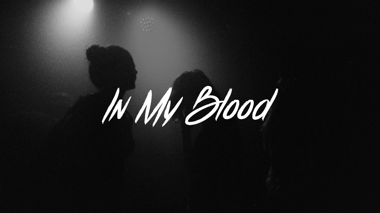 Shawn Mendes In My Blood Lyrics Acoustic Youtube Music