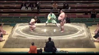 Hatsu 2016 Day 11 Chiyonoumi vs Maeta