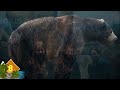 13 largest land mammals ever