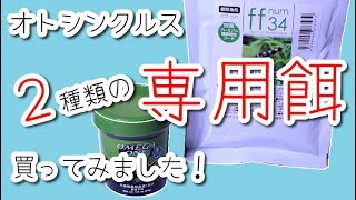 オトシンクルス専用の餌！と草食性魚用の餌！試してみました【アクアリウム】