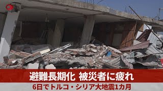 避難長期化、被災者に疲れ 6日でトルコ・シリア大地震1カ月