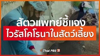 สัตวแพทย์ชี้แจงไวรัสโคโรนาในสัตว์เลี้ยง : จับตาข่าวเด่น (11 ก.พ. 63)