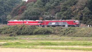 東北本線 白河-久田野 ＥＨ８００ １８号機甲種輸送通過 2016.10.28