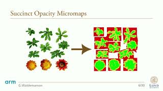 Succinct Opacity Micromaps