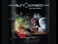 Sun Caged - Ashtamangala, The 8 Auspicious Symbols (Complete !)