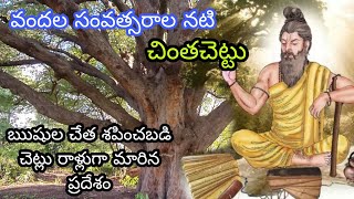 ఋషుల శాపం వల్ల చెట్లు రాళ్లుగా మారిన ప్రదేశం | 100 సంవత్సరాల నటి చింత చెట్టు#EvrTravelVlogs