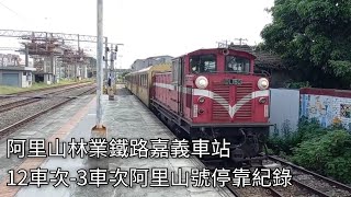 阿里山林業鐵路12車次-3車次阿里山號列車嘉義車站進站+出站紀錄 本務機DL50 | 2022.8.7 | Alishan Forest Railway | 粘粘的鐵道攝影