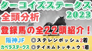 【ターコイズステークス2023】クラシックで活躍してきた3歳と古馬の対決！最も期待できる3歳馬はあの馬！【全頭分析】