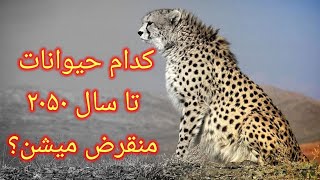 کدام حیوانات تا سال ۲۰۵۰ منقرض میشن؟#shorts