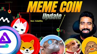 These Meme Coins Making Millions of $$$💰🤑 In January 2025 🔥 Shiba Inu | Bitgert | Hippo | SUNDOG 💥