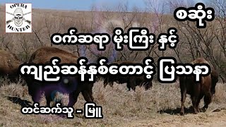 ကျည်ဆန် ၂ထောင့် ပြသနာ - စဆုံး