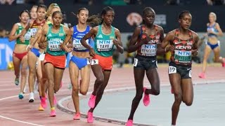 Women's 5000M FINAL | World Athletics Championships Budapest 2023 | #KIPYEGON #HASSAN #CHEBET