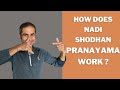 nadi shodhana pranayama for beginners alternate nostril how to cleanse your energy channels