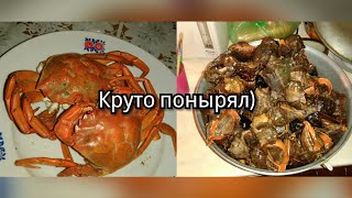 Ныряем за рапаном  в Черном море./ Catching molluscs and crabs on the Black Sea