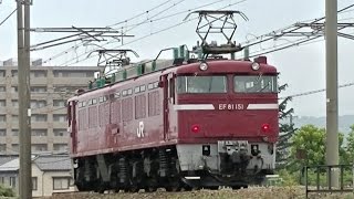 EF81 151　SLばんえつ物語号牽引の単機回送　単8423ﾚ　信越本線