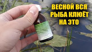 Весной вся рыба клюёт на это! Лучше этого для рыбалки весной ещё не придумали!