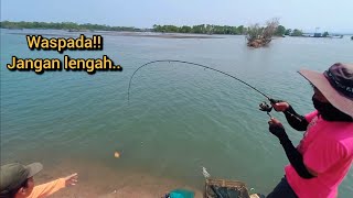 jaminan ketagihan mancing di spot seperti ini