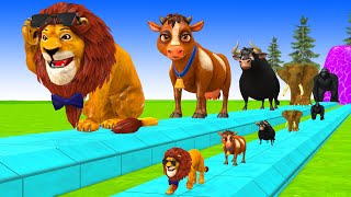 Paint Animals Cow, Elephants, Lion, Ferdinand, Gorilla Fountain Crossing Transformation Cartoon