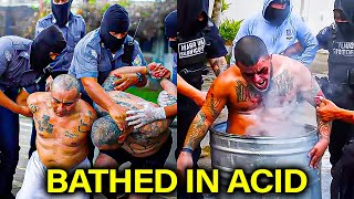 Footage Of How El Salvador Destroyed Their Brutal Gangs Go Viral!